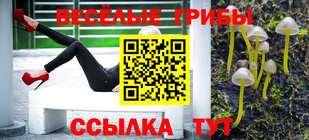 Галлюциногенные грибы мухоморы  Вход с VPN  Хасавюрт 