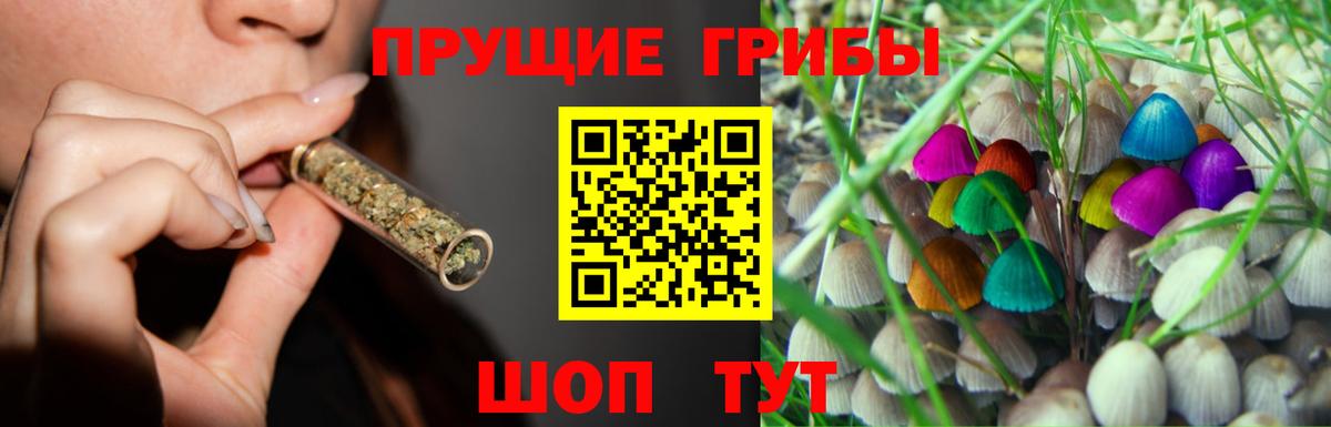Псилоцибиновые грибы мухоморы Хасавюрт